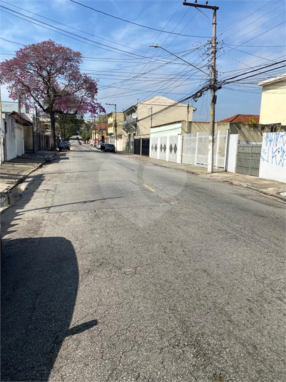 Foto REO1113765
