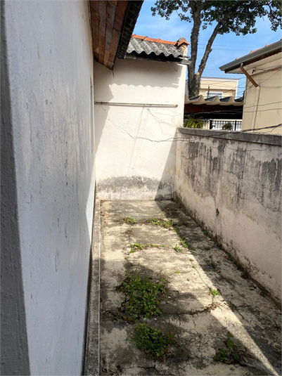 Foto REO1113765