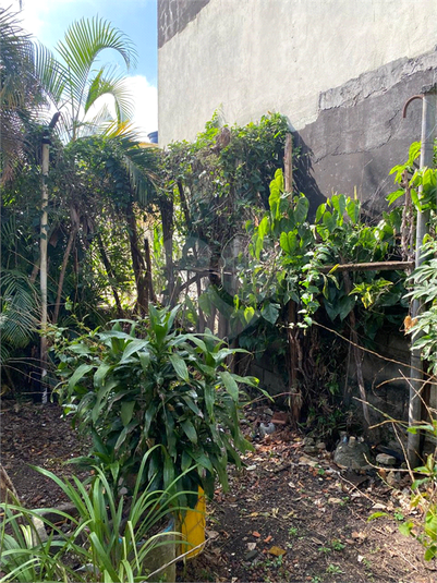 Foto REO1113765