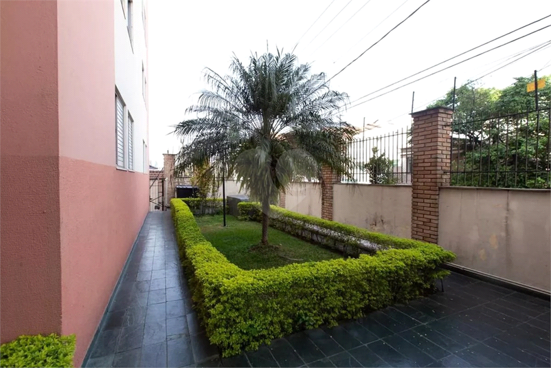 Foto REO1113777