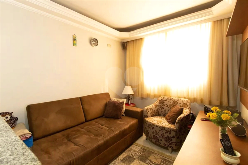 Foto REO1113777