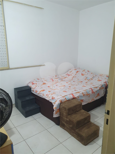 Foto REO1113780