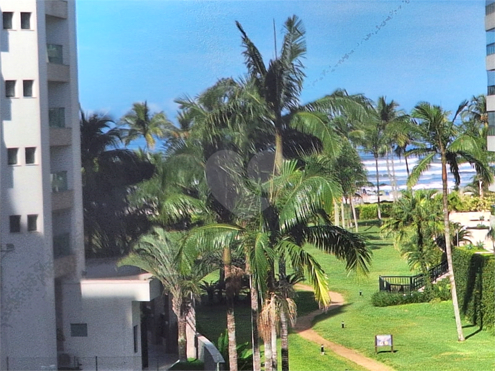 Foto REO1113790