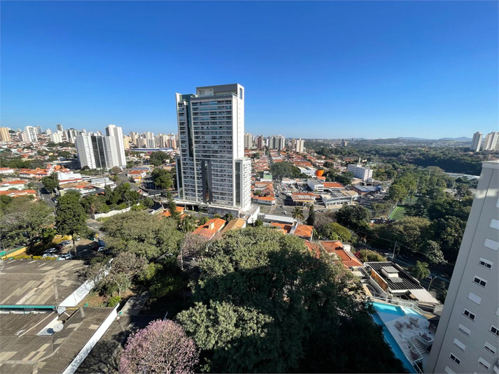 Foto REO1113791