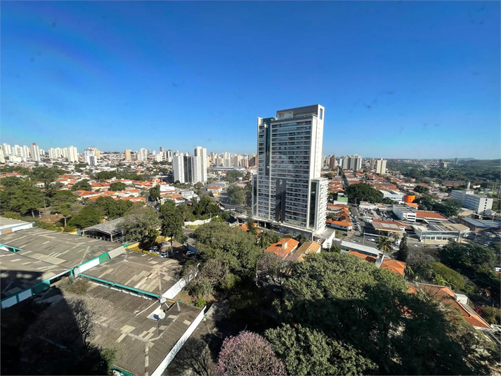 Foto REO1113791