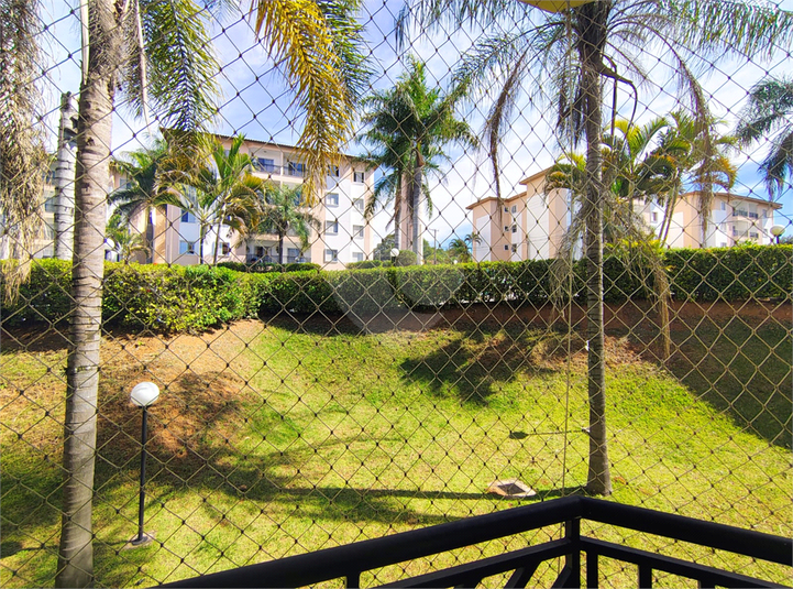 Foto REO1113792