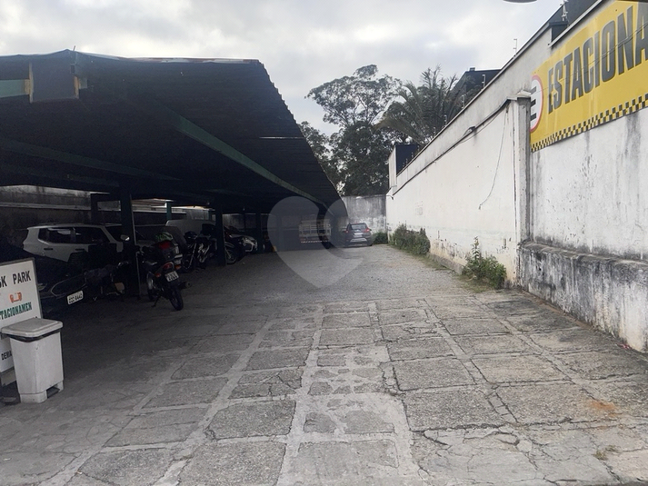 Foto REO1113805