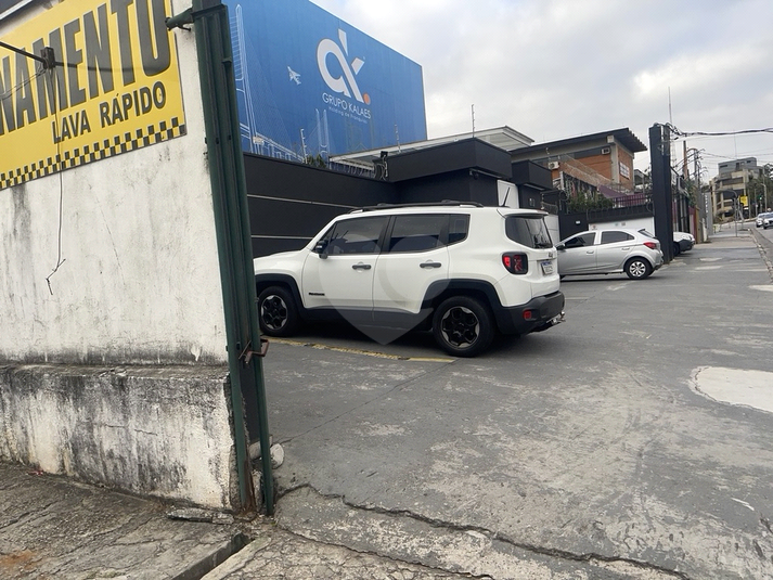 Foto REO1113805