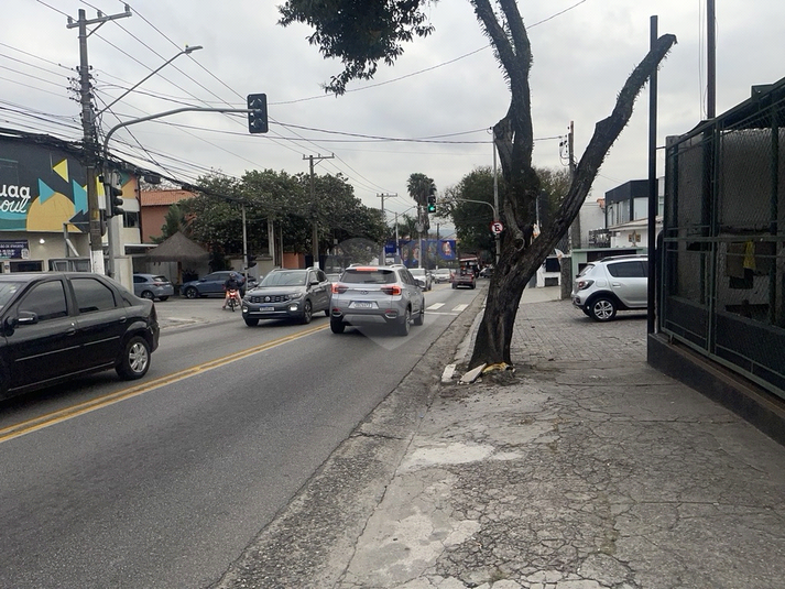 Foto REO1113805
