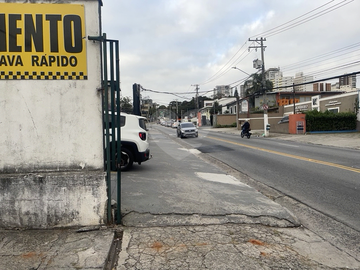 Foto REO1113805