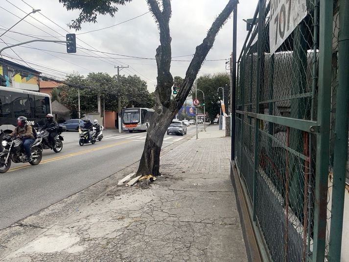 Foto REO1113805