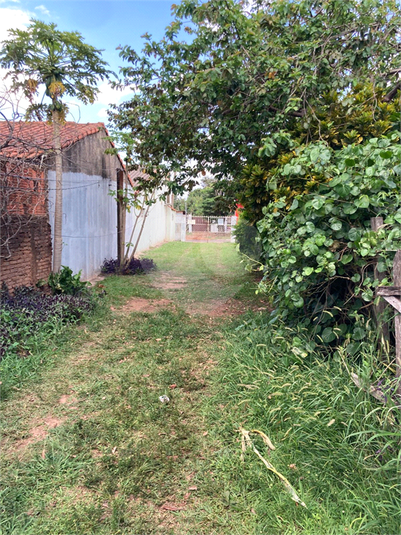 Foto REO1113806