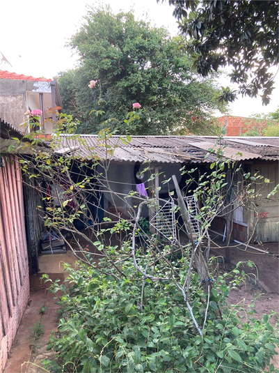 Foto REO1113806