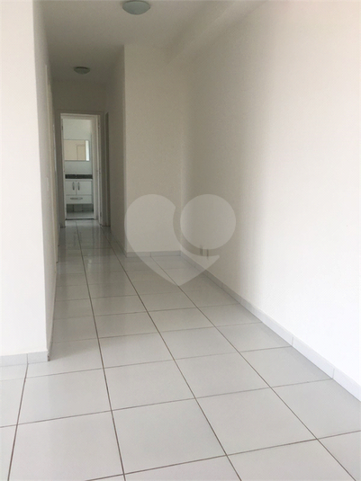 Foto REO1113809