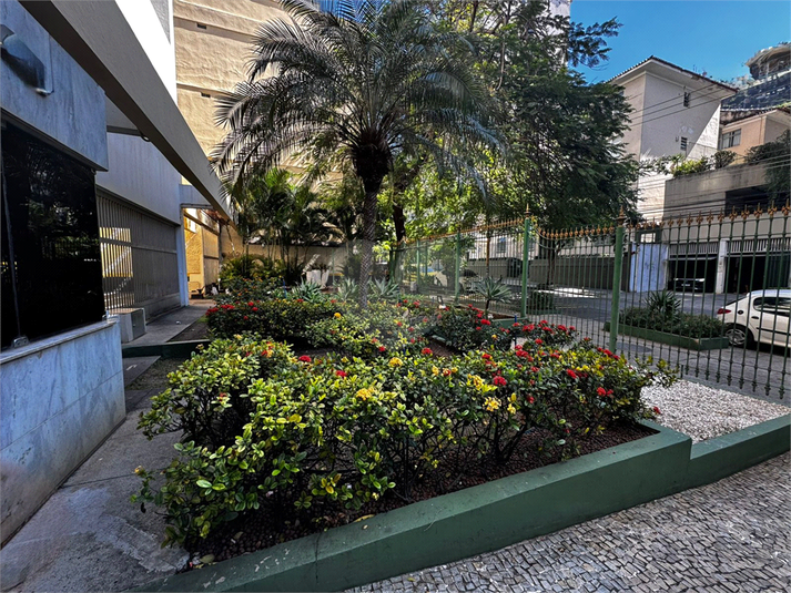Foto REO1113810
