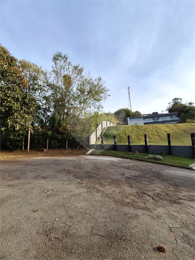 Foto REO1113813