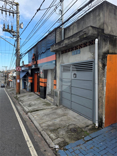 Foto REO1113819