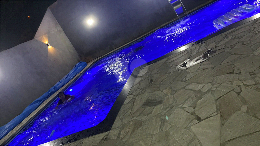 Foto REO1113828