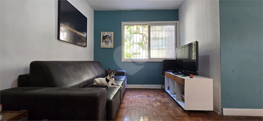 Foto REO1113832