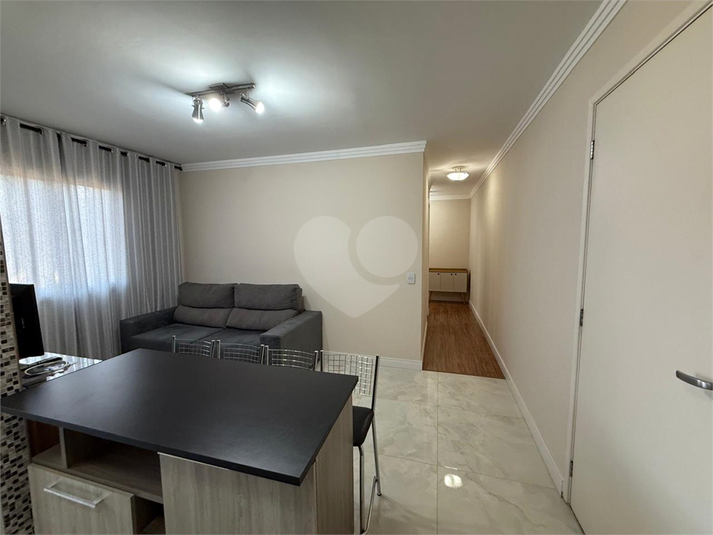 Foto REO1113840