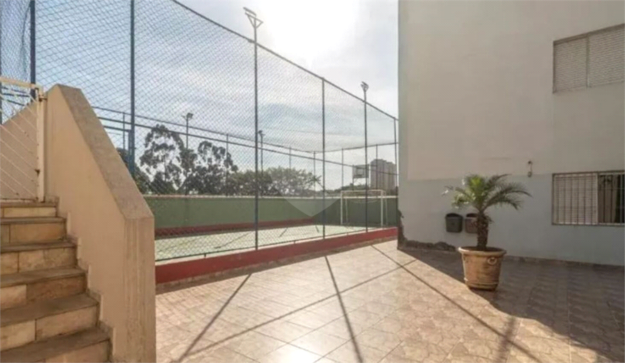 Foto REO1113845