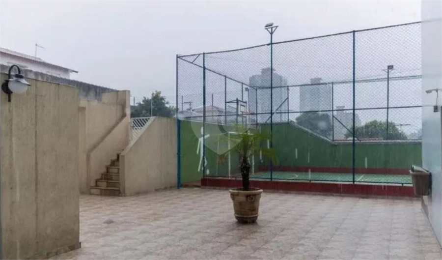 Foto REO1113845