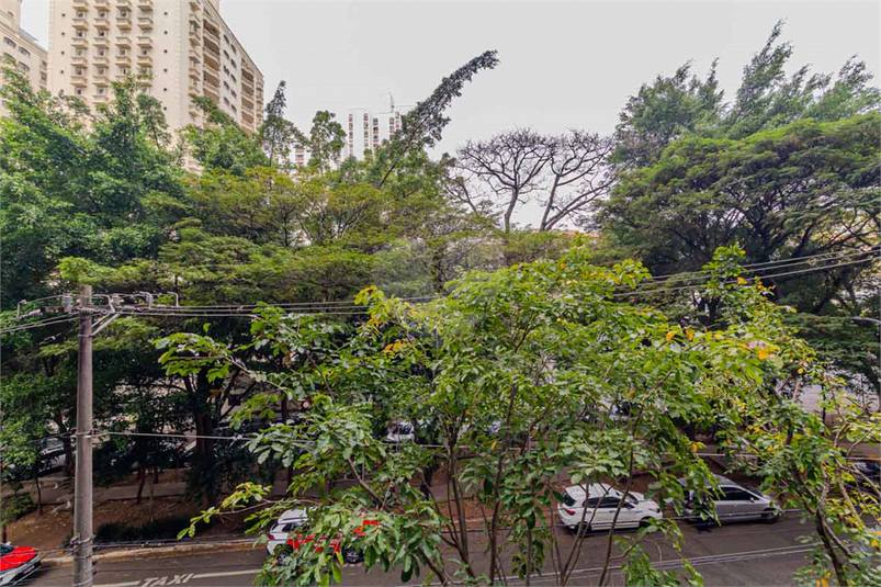 Foto REO1113850