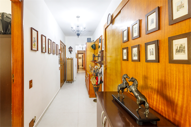 Foto REO1113858