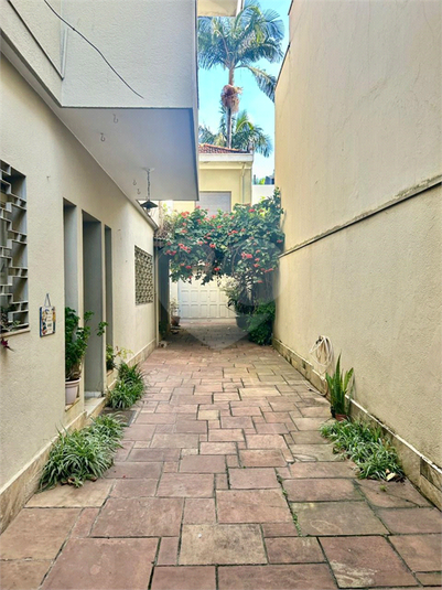 Foto REO1113859