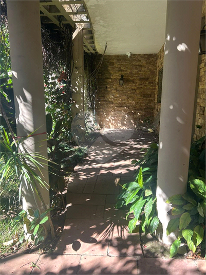 Foto REO1113859