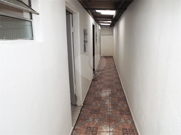 Foto REO111386