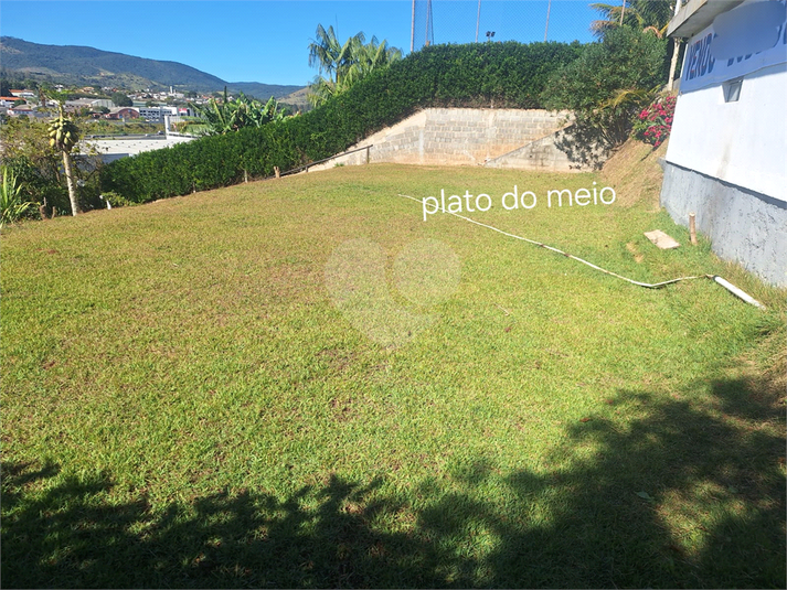 Foto REO1113860