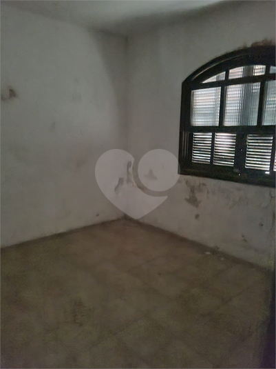 Foto REO1113862