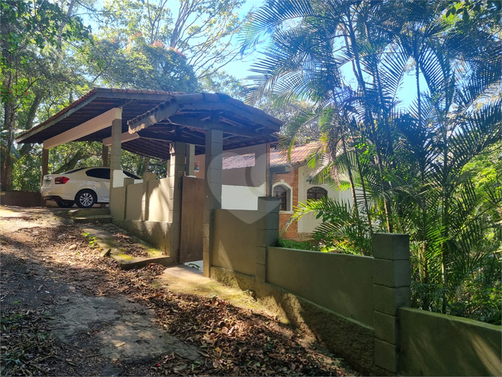 Foto REO1113862