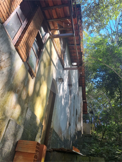 Foto REO1113862