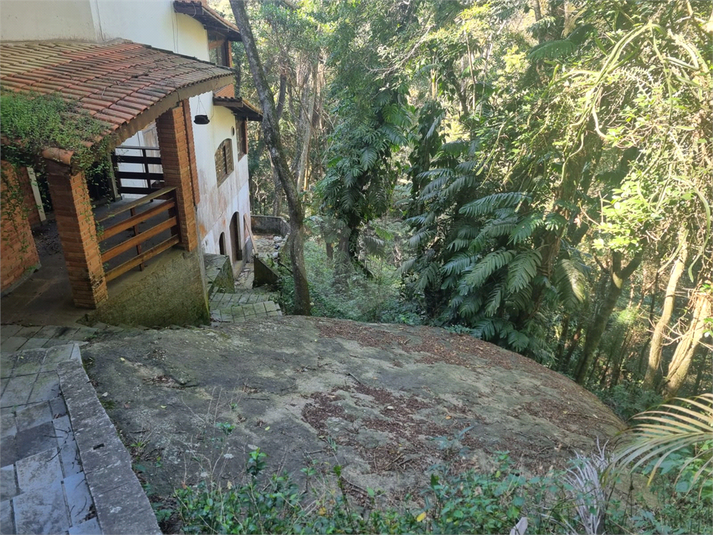 Foto REO1113862
