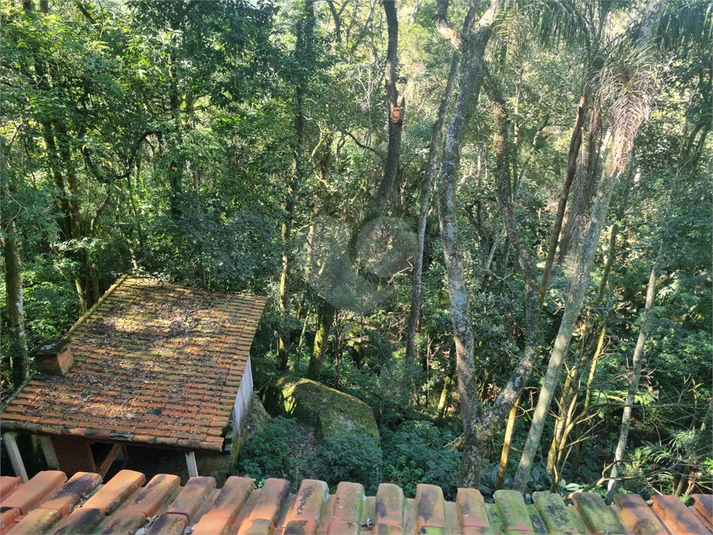 Foto REO1113862