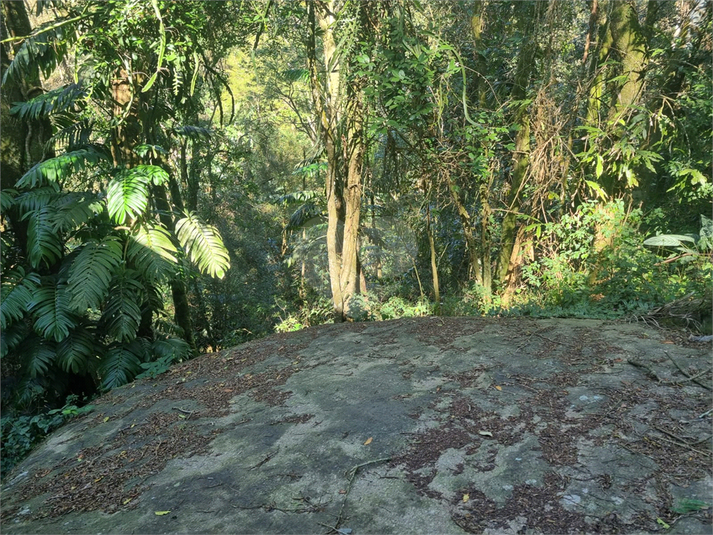 Foto REO1113862
