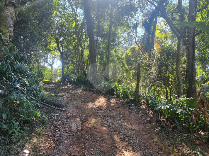 Foto REO1113862