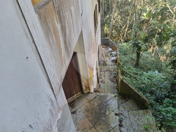 Foto REO1113862