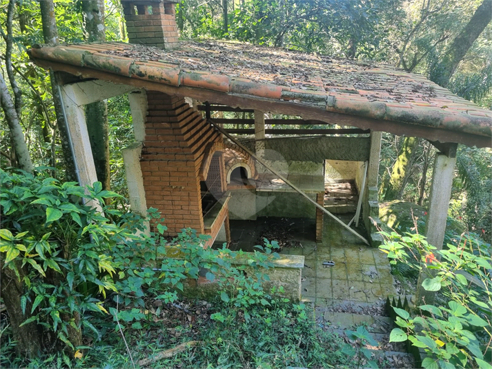 Foto REO1113862