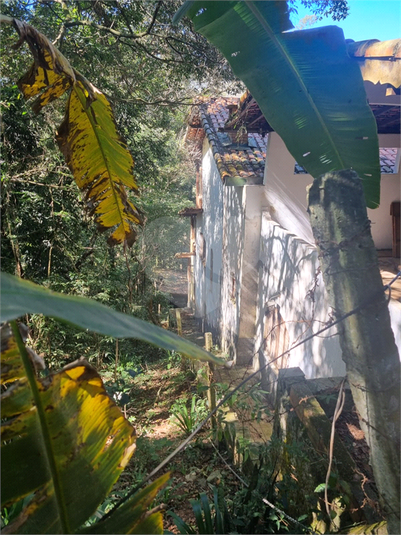 Foto REO1113862
