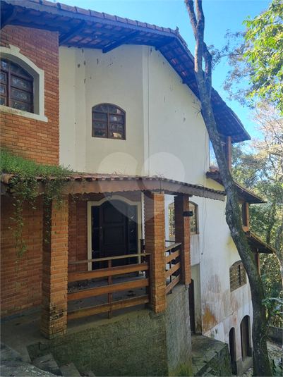 Foto REO1113862