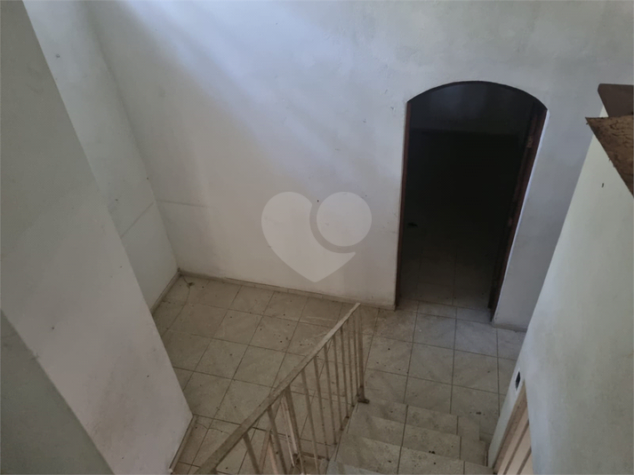 Foto REO1113862