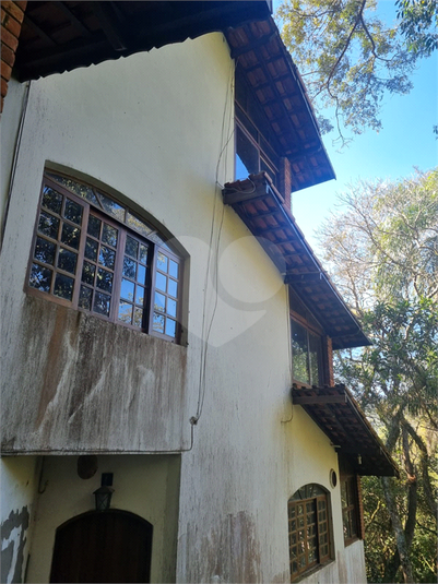 Foto REO1113862