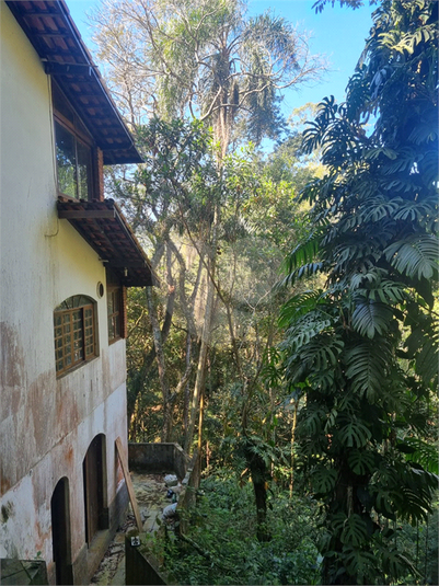 Foto REO1113862