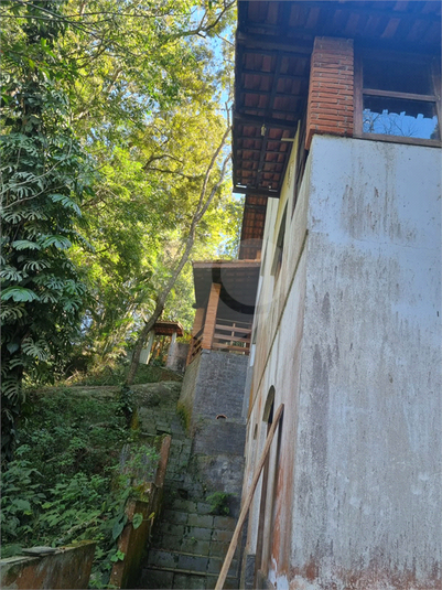 Foto REO1113862