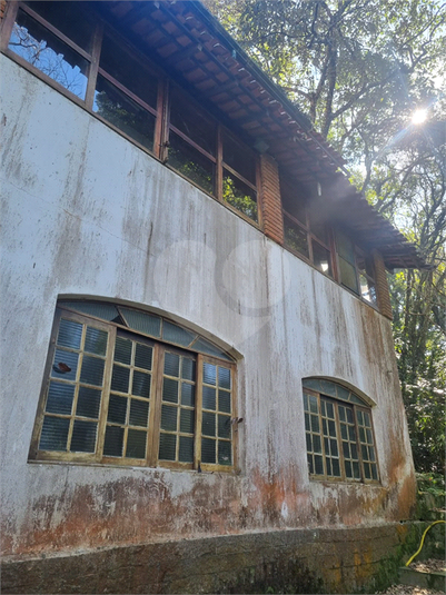 Foto REO1113862