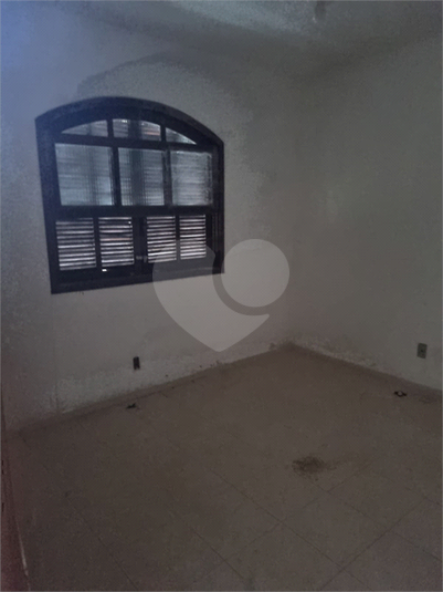 Foto REO1113862