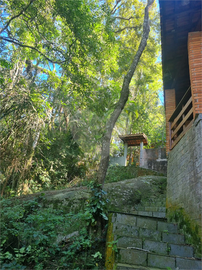 Foto REO1113862